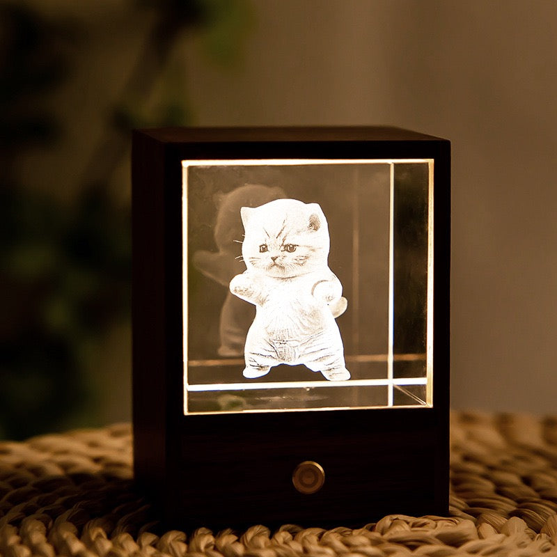 3D Crystal Cat Night Light – Wooden Touch Lamp Gift Box