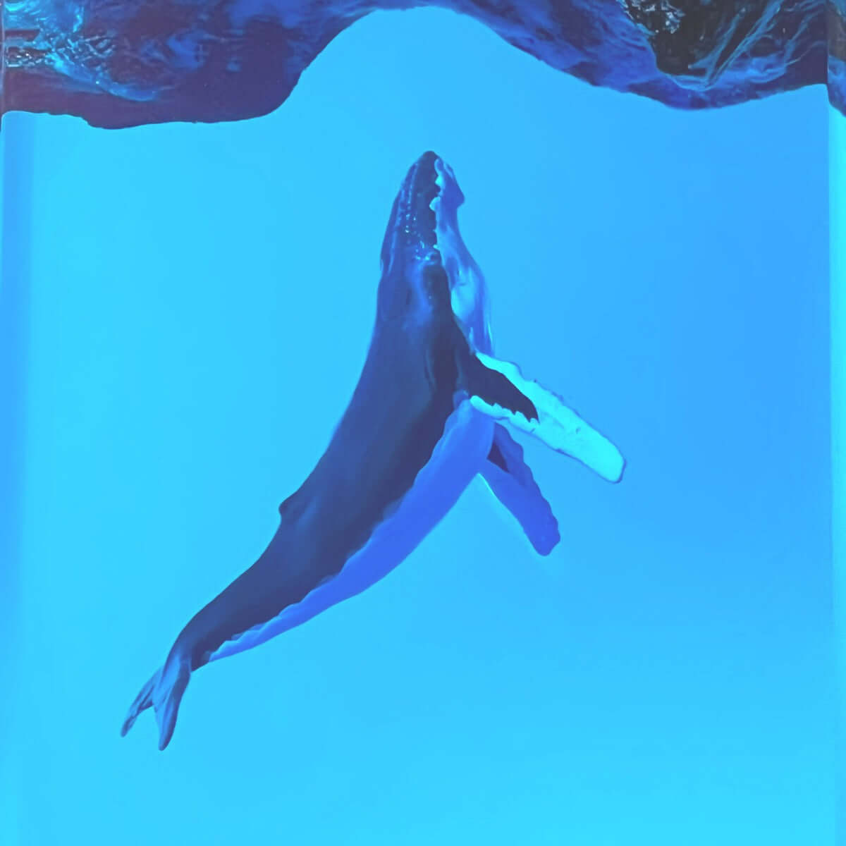 Whale Cave Resin Lamp – Ocean Art Wooden Night Light Decor