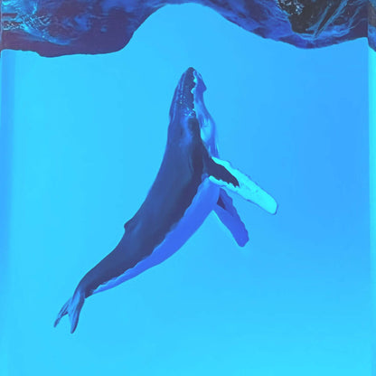 Whale Cave Resin Lamp – Ocean Art Wooden Night Light Decor