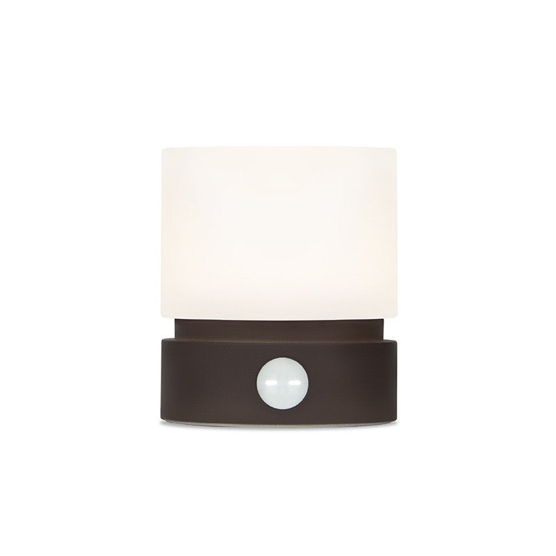 Rechargeable cylinder-shaped LED night light