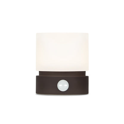 Rechargeable cylinder-shaped LED night light