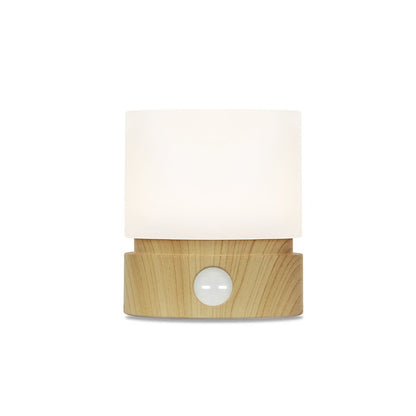 Rechargeable cylinder-shaped LED night light