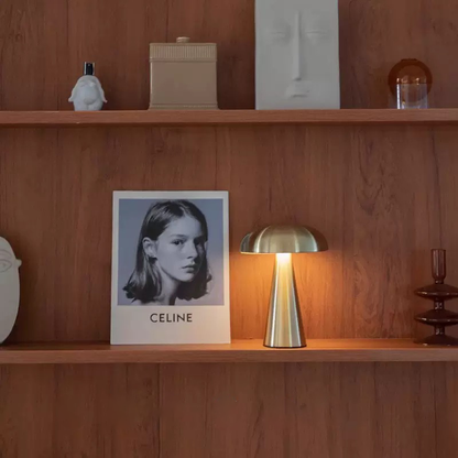 Eye-protective LED light table lamp with metal body