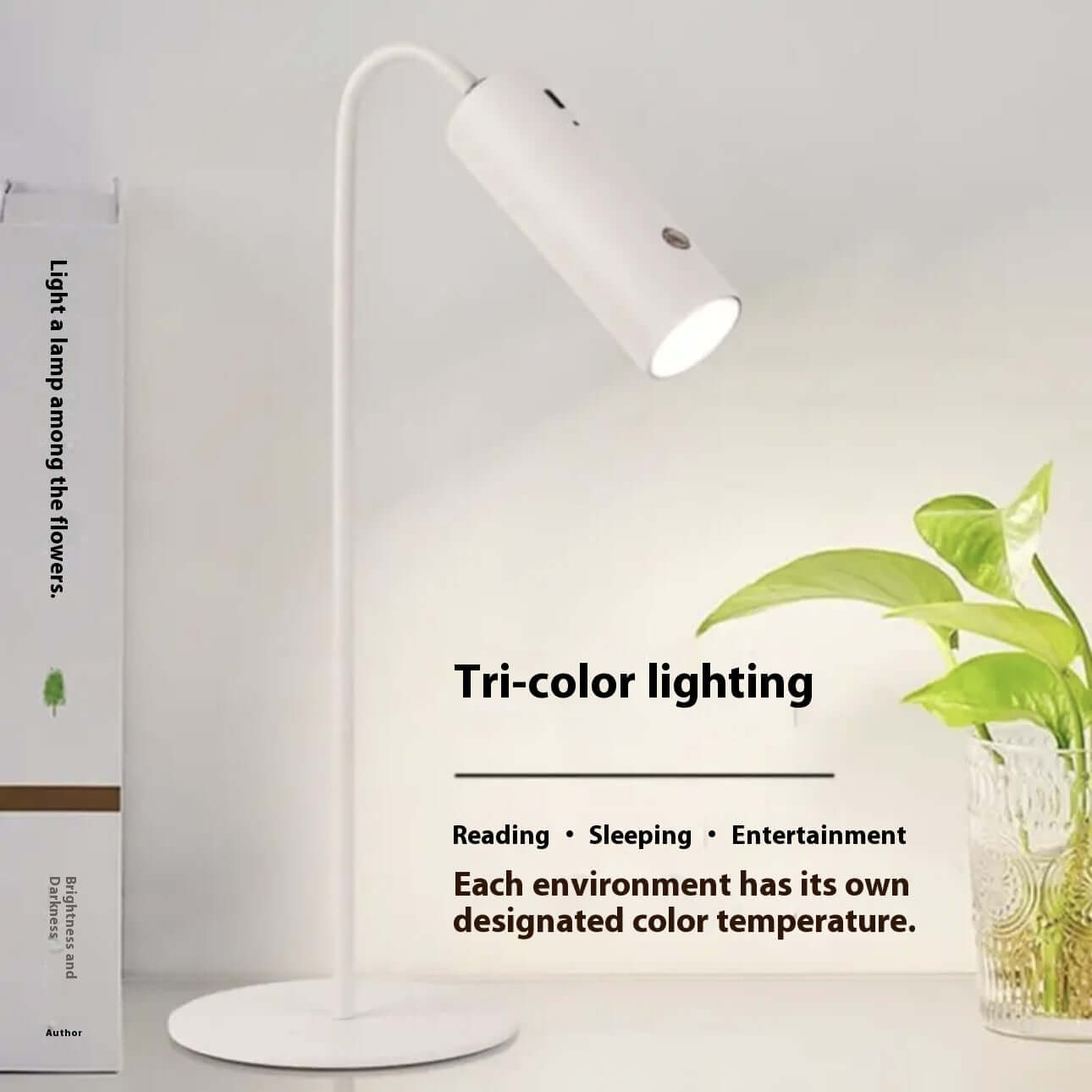 Eye-friendly rechargeable desk lamp for reading, studying, or work