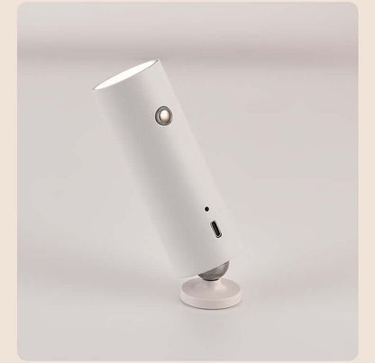 Portable magnetic desk lamp with anti-slip design and adjustable angles