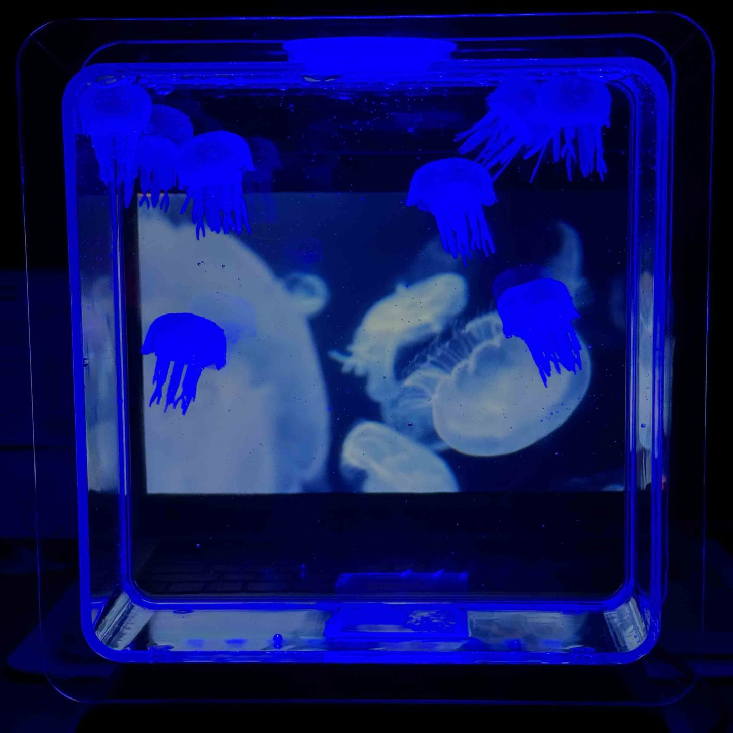Jellyfish Aquarium Lamp | LED Floating Jellyfish Night Light 7 Colors