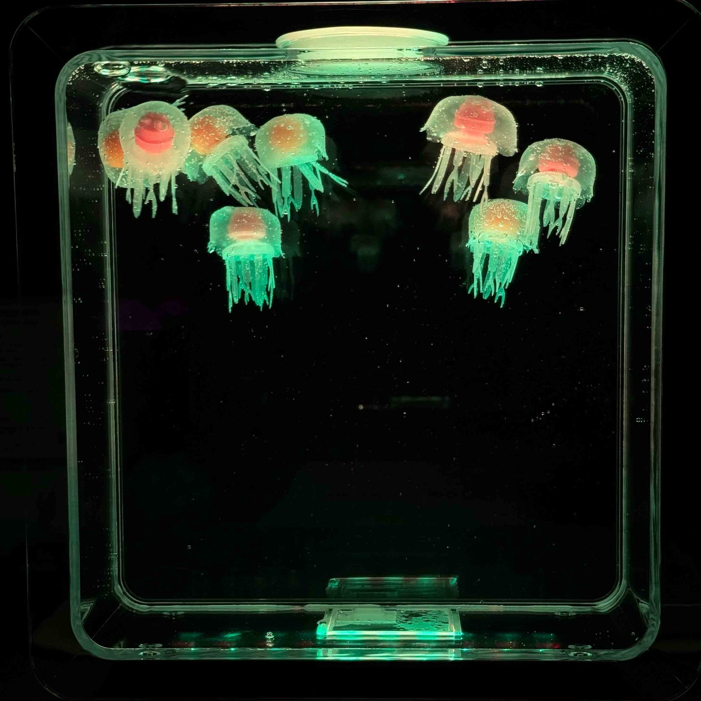 Jellyfish Aquarium Lamp | LED Floating Jellyfish Night Light 7 Colors