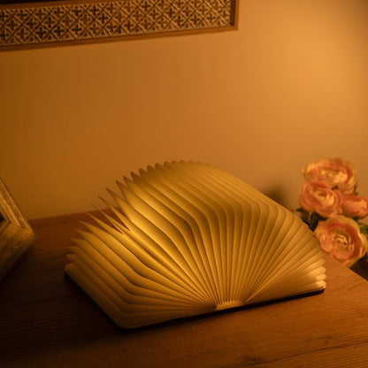 Book-shaped lamp