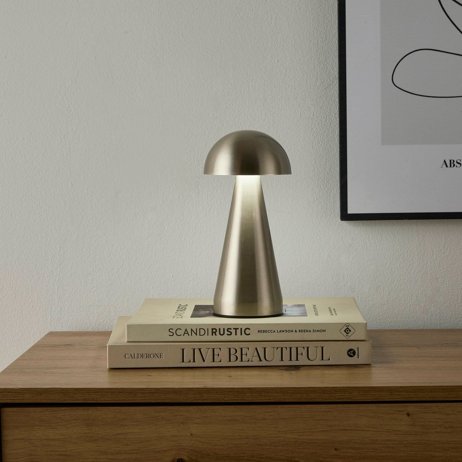Lamp modern dome LED table light silver and copper