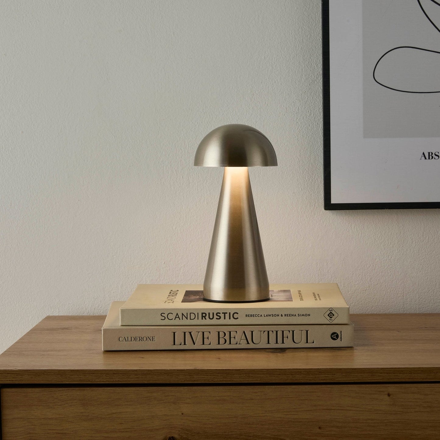 Touch control Lumiosa LED lamp with acrylic shade
