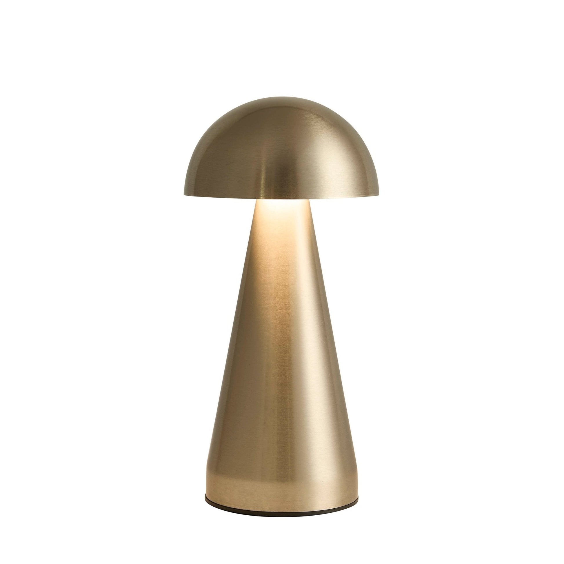 Lumiosa mini domed LED rechargeable lamp with a sleek metallic finish, perfect for stylish home decor.