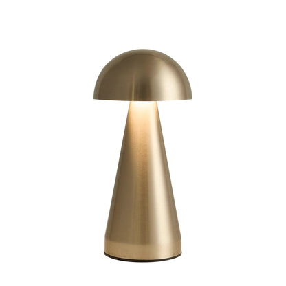 Lumiosa mini domed LED rechargeable lamp with a sleek metallic finish, perfect for stylish home decor.