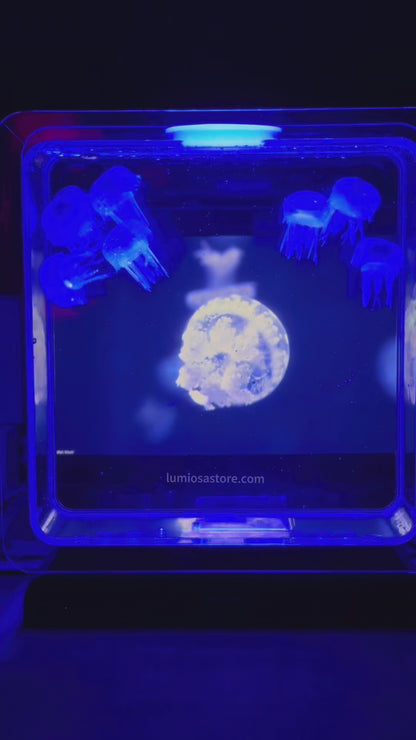 Jellyfish Aquarium Lamp | LED Floating Jellyfish Night Light 7 Colors