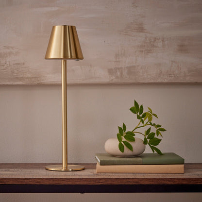 Rechargeable gold LED desk lamp with 3 color modes